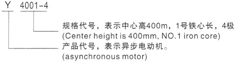 西安泰富西玛Y系列(H355-1000)高压YJTG-801-2A/0.75KW三相异步电机型号说明