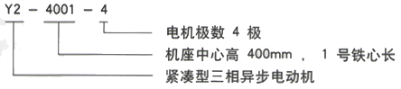 YR系列(H355-1000)高压YJTG-801-2A/0.75KW三相异步电机西安西玛电机型号说明